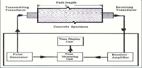 Ultrasonic pulse velocity test .
